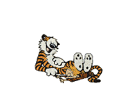 TigerHobbes89