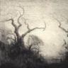 AmbientDust