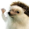 TimTom