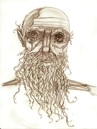 sturmadler