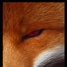 Conker