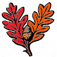 Amberyle