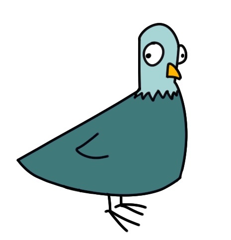 Pigeon