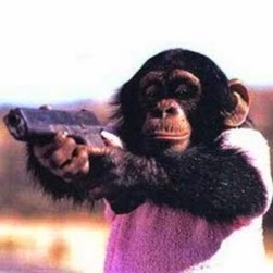 Terrorape