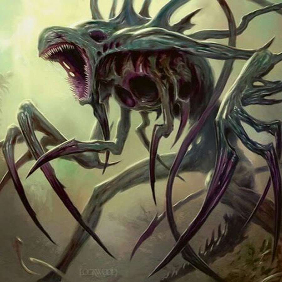Roach