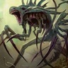 Roach