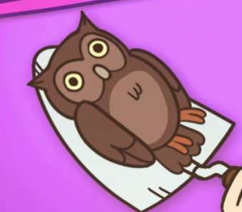 ElleOwls