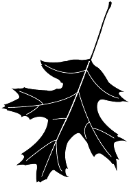pen_oak