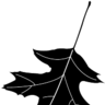 pen_oak