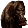 DShok1