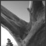 SearchingStones