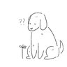 seifely2