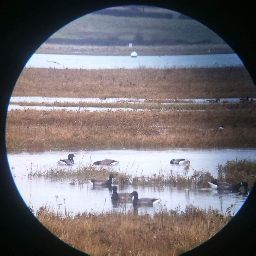 Jupiter_