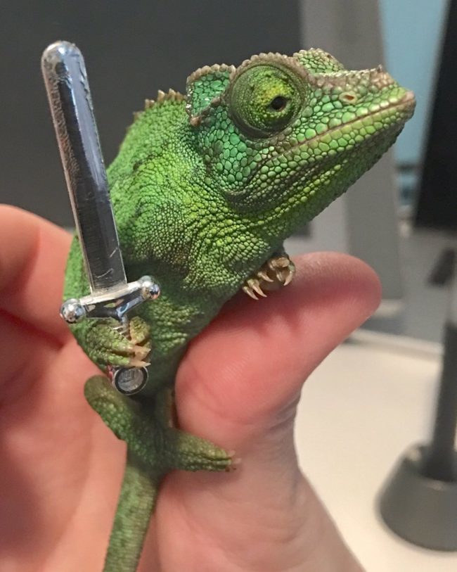 KingofSwords