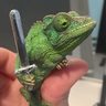 KingofSwords