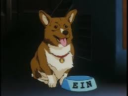 EIN