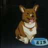 EIN