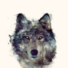 WolfeIncarnate