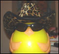 melissa_kck