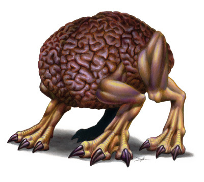 braindog