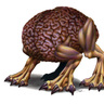 braindog