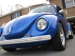 Beetle