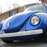 Beetle