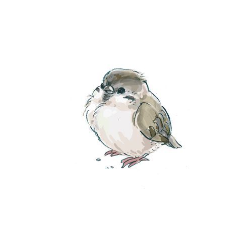 Smolbirb