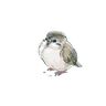 Smolbirb