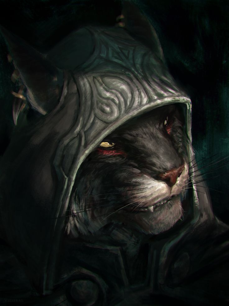 kenodonn_1