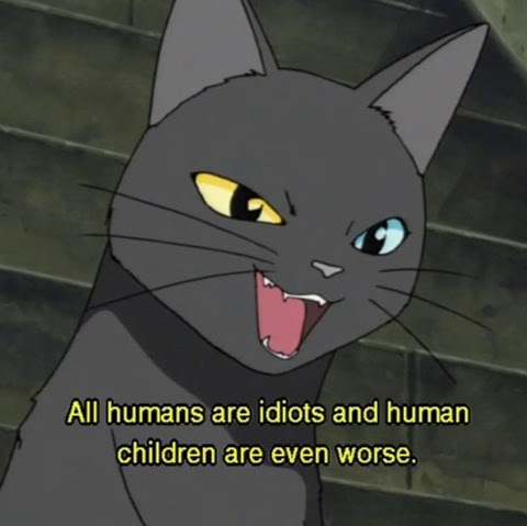 CyanoCat