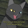 CyanoCat