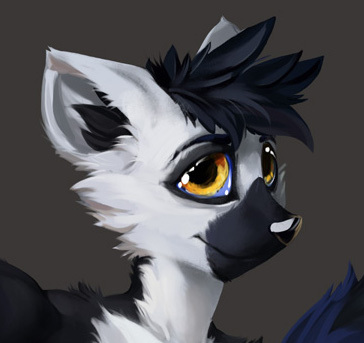 Skyler_Ringtail
