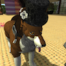 GuruCoyote