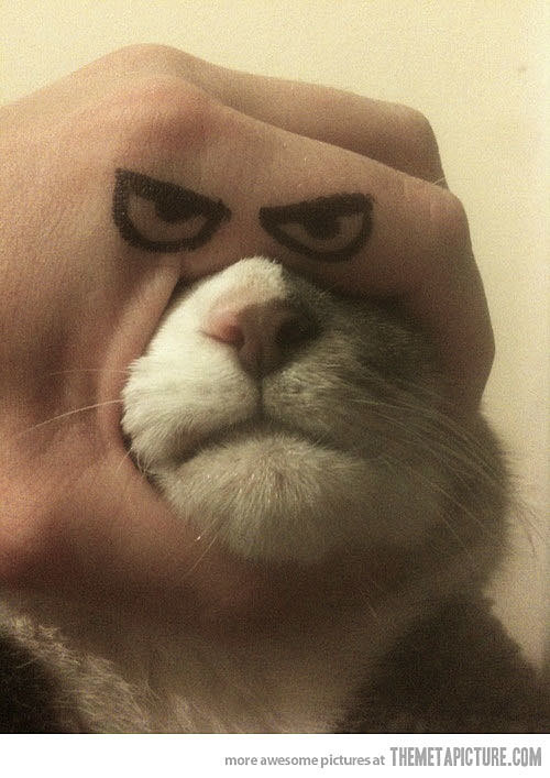 sparxter