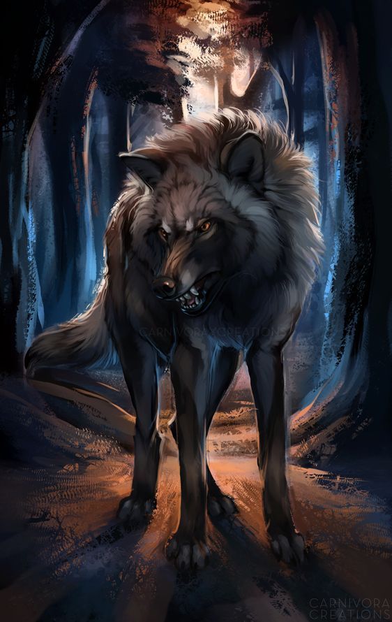 Warwolf300