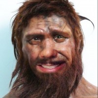 brunohsbento