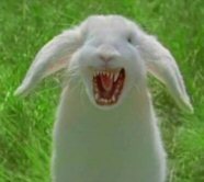FeralBunny