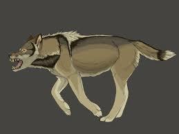 RookDog