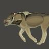 RookDog