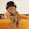 TopHatCat