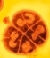 Aegeri