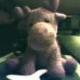 Nicholas