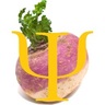 turnipatour
