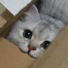 Sampsa