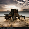 The_Stump