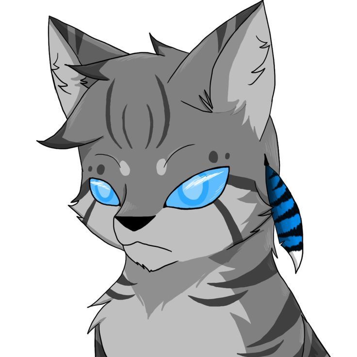 Jayfeather219f