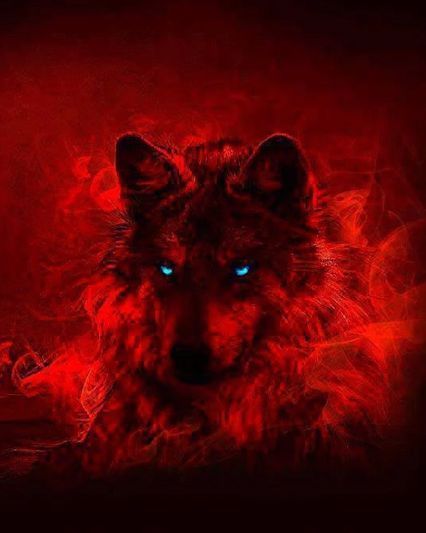 CiciWolf