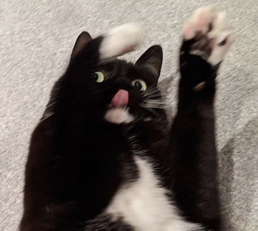 Tib