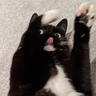 Tib